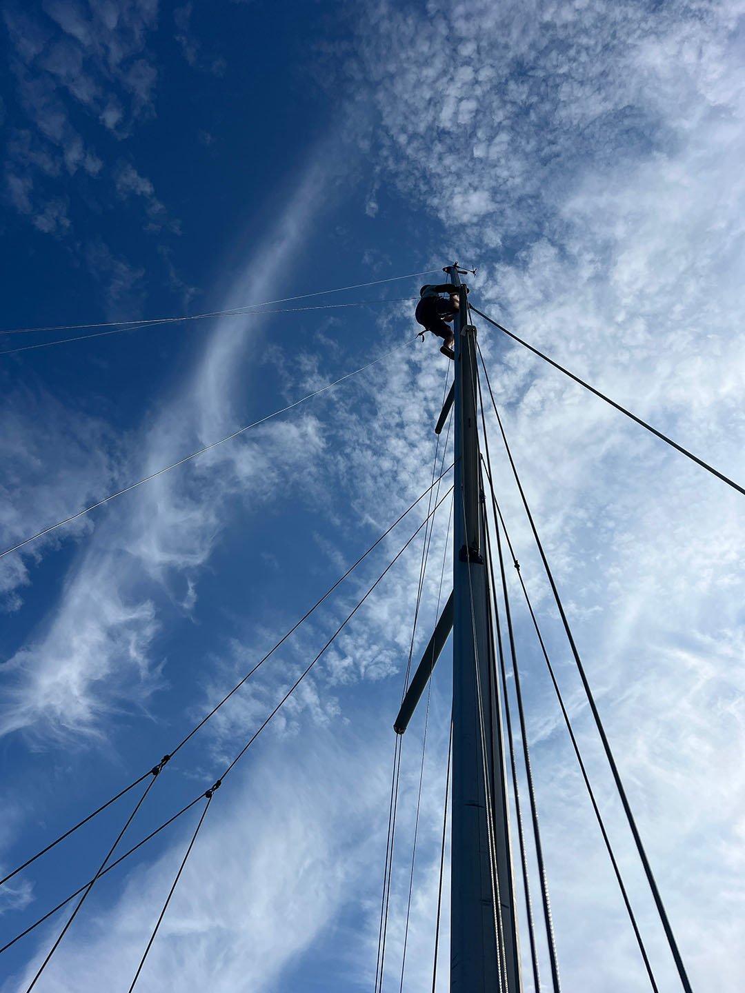 Sailing Sunglasses